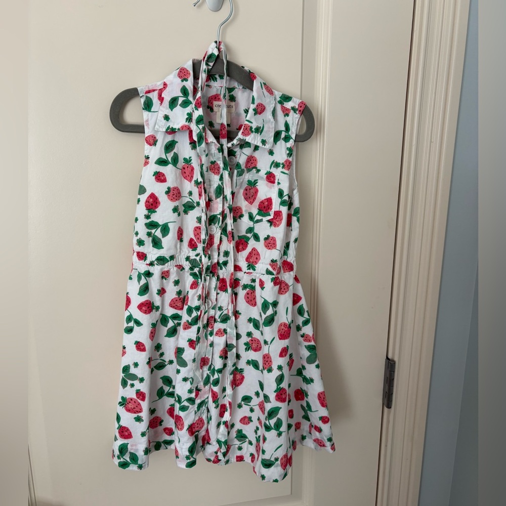 J Crew Strawberry Dress